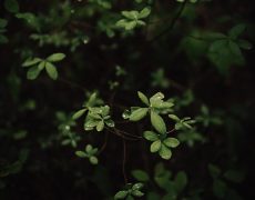 ben-karpinski-uR_pNOruRPk-unsplash